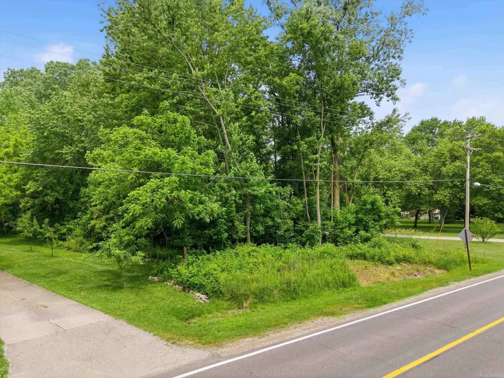 Strawberry Lane Lane Port Huron Charter Township, MI 48060