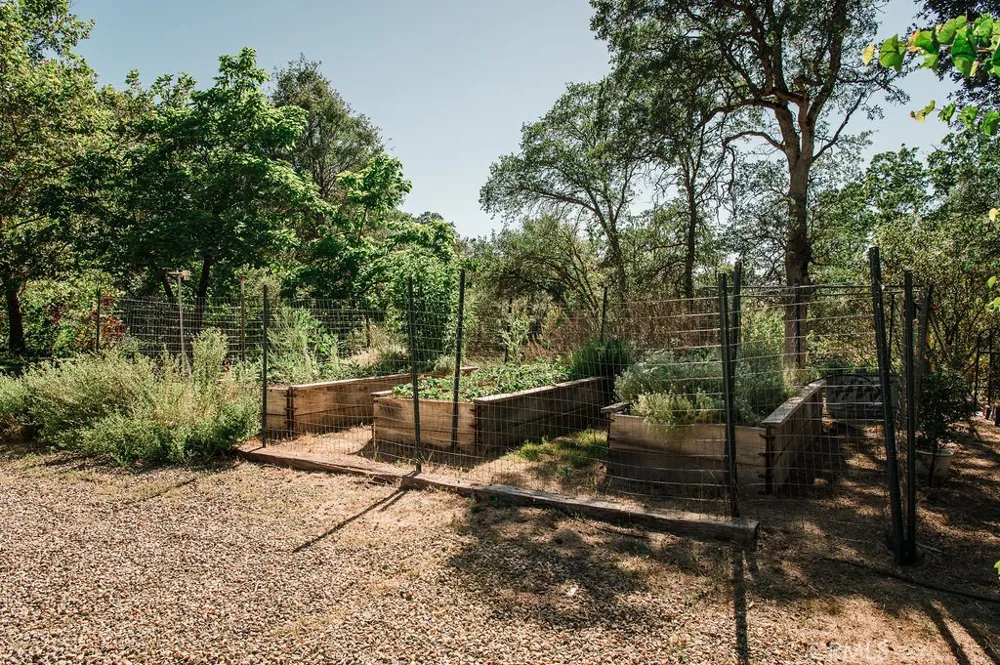 3619 Fig Tree Spring Mariposa, CA 95338