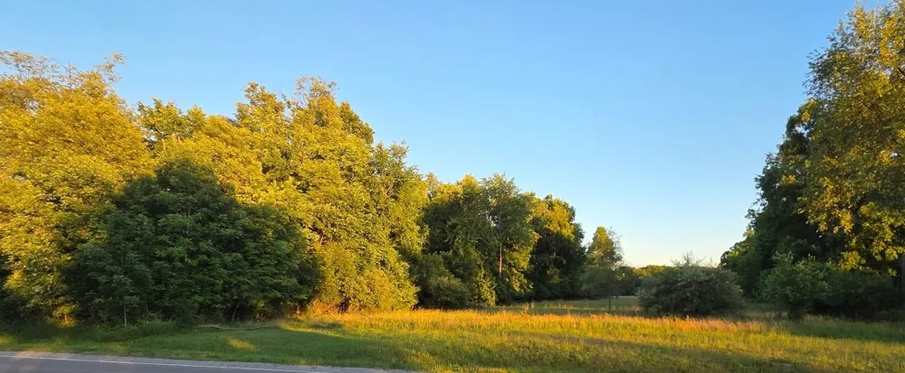 Crosby Road Genesee Charter Township, MI 48506