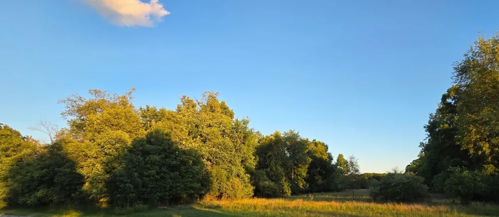 Crosby Road Genesee Charter Township, MI 48506