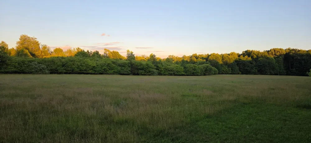 Crosby Road Genesee Charter Township, MI 48506