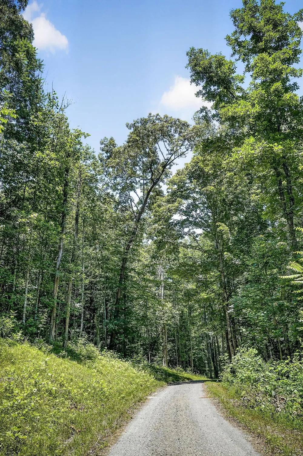 359 Allen Sells Ln Alpine, TN 38543