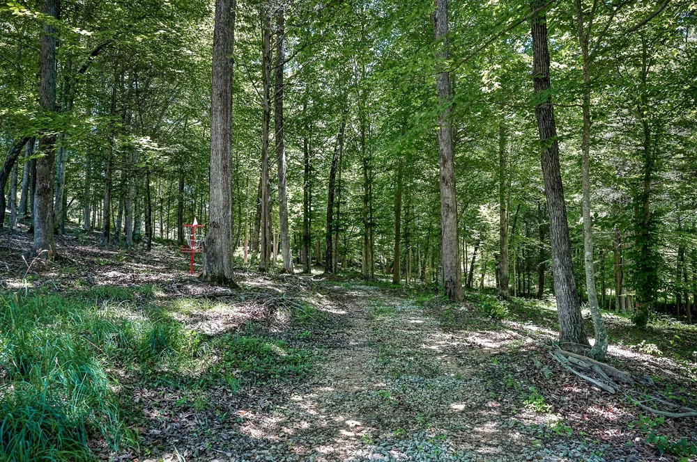 359 Allen Sells Ln Alpine, TN 38543