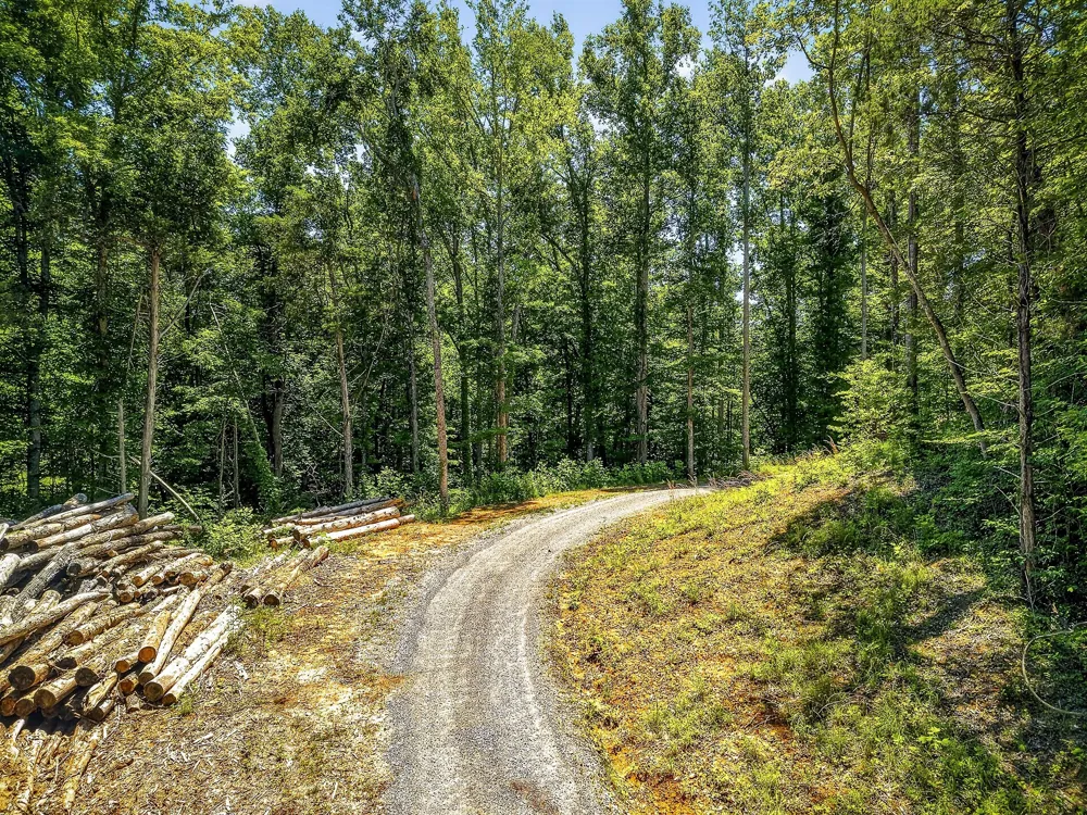 359 Allen Sells Ln Alpine, TN 38543