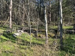 14907 Cainsville Rd Lebanon, TN 37090