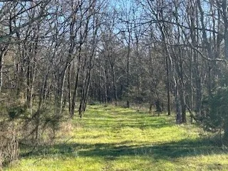 14907 Cainsville Rd Lebanon, TN 37090