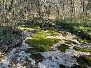 14907 Cainsville Rd Lebanon, TN 37090