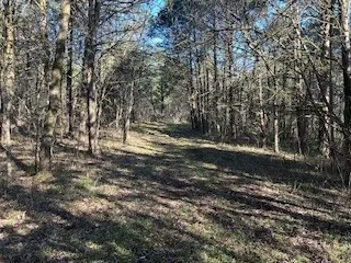 14907 Cainsville Rd Lebanon, TN 37090