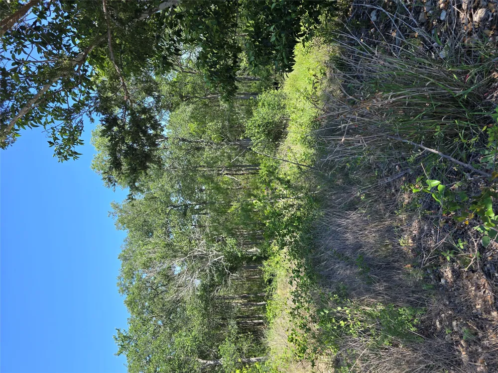 693 Santa Teresa Road Kyle, TX 78640