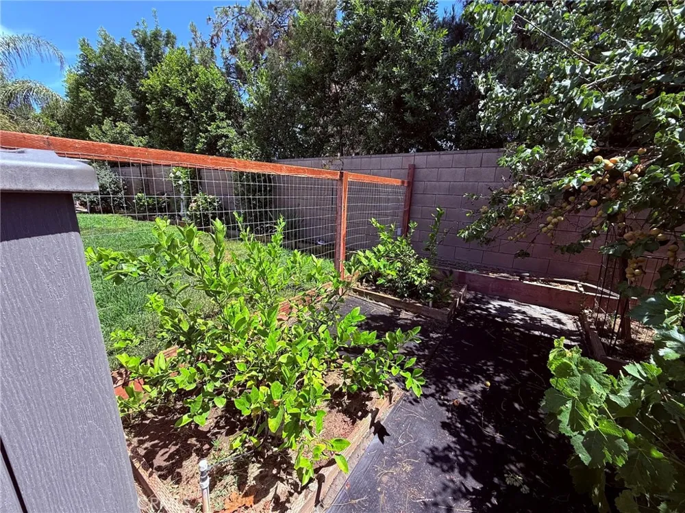 29733 Maritime Menifee, CA 92585
