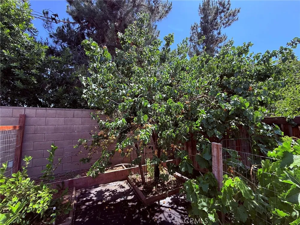 29733 Maritime Menifee, CA 92585