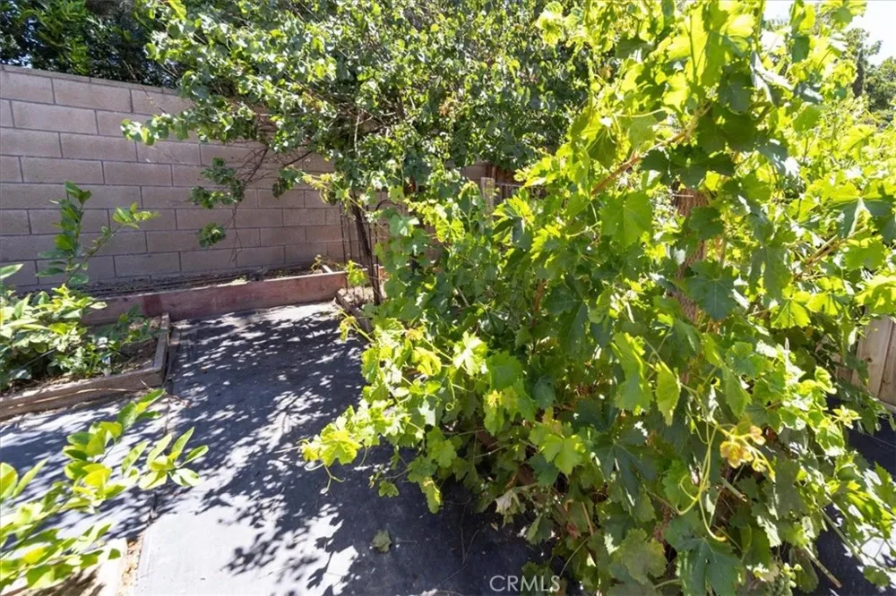 29733 Maritime Menifee, CA 92585