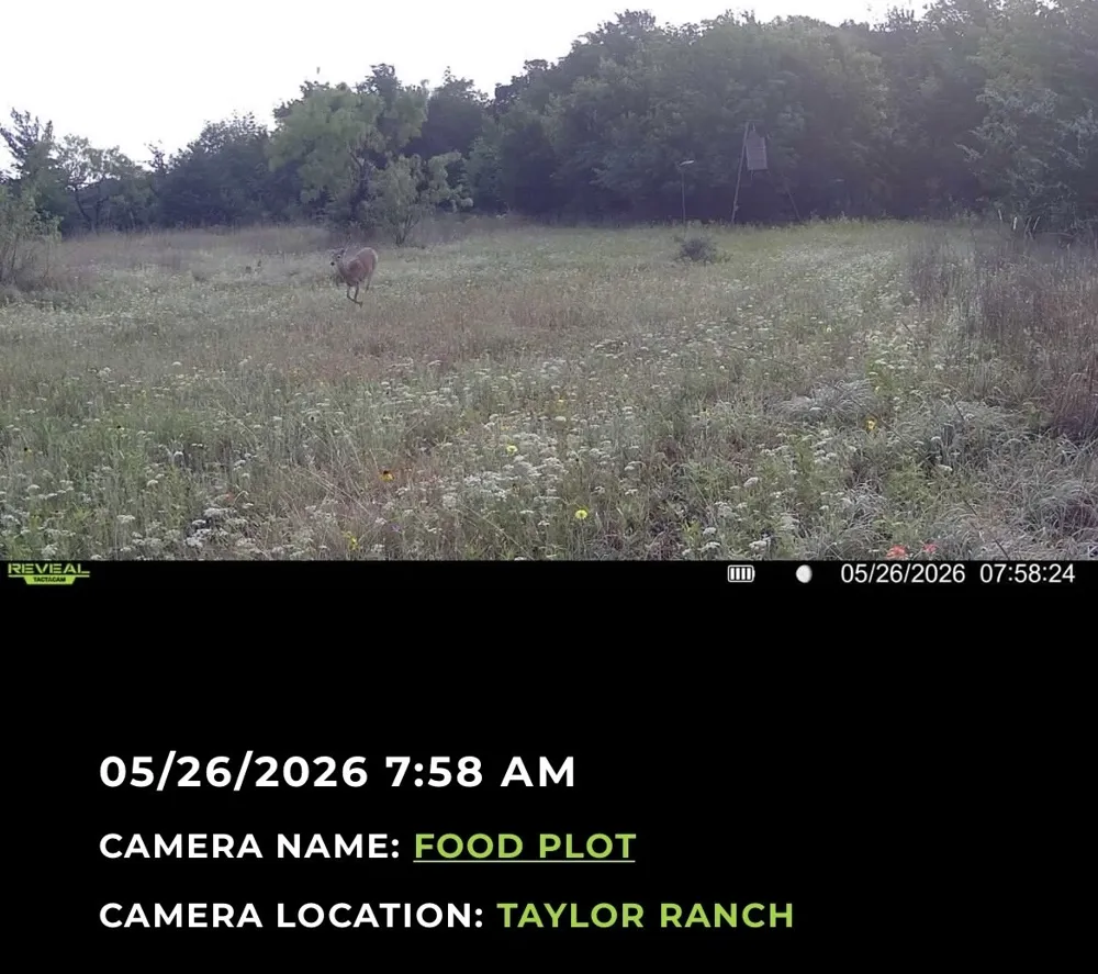 224 Hcr 3350 Hubbard, TX 76648