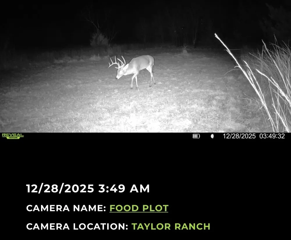 224 Hcr 3350 Hubbard, TX 76648