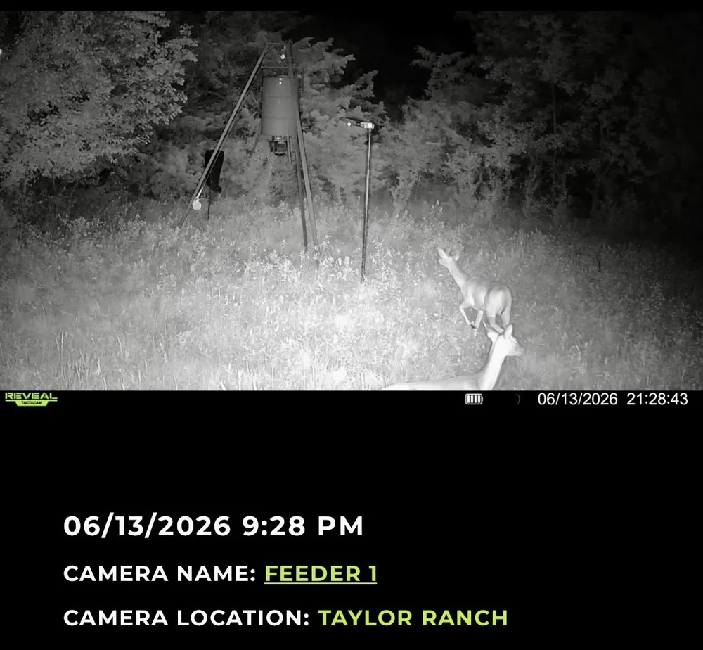 224 Hcr 3350 Hubbard, TX 76648