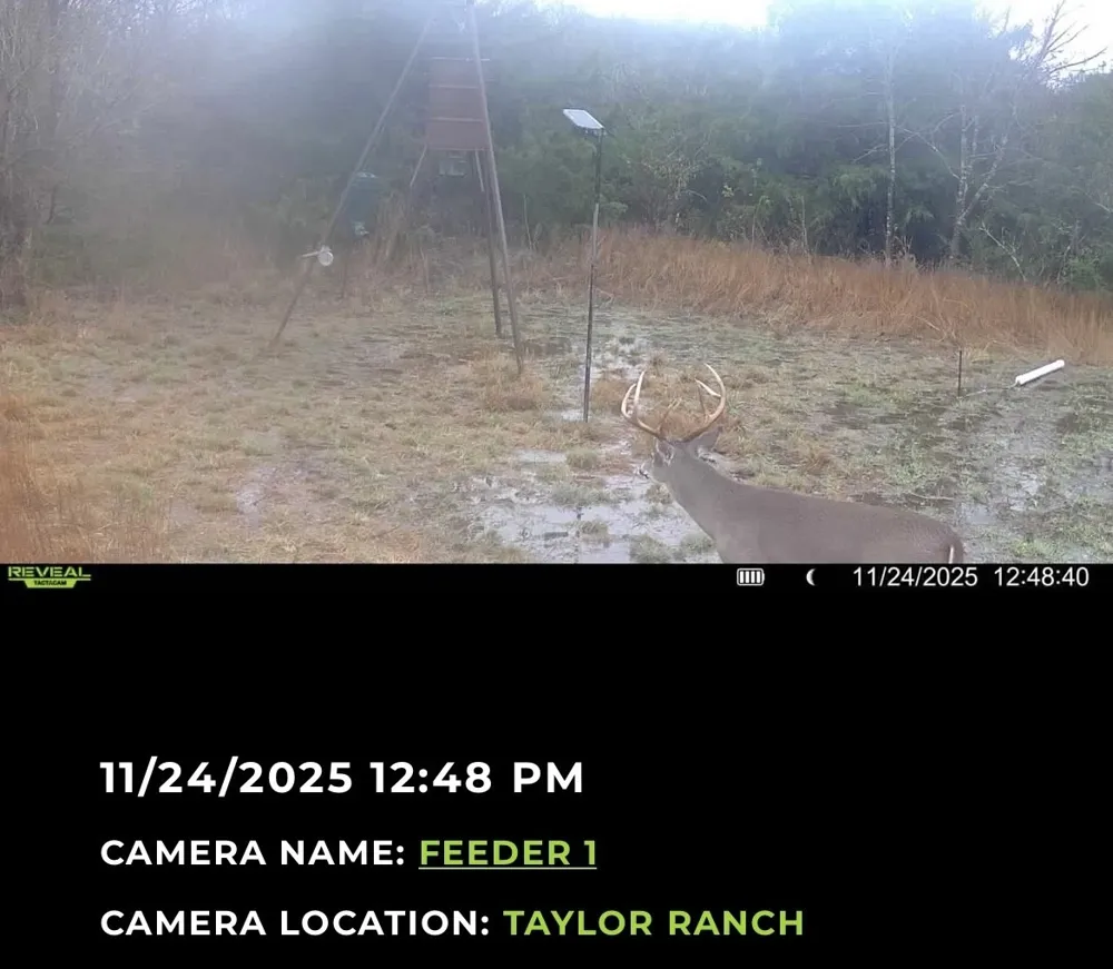 224 Hcr 3350 Hubbard, TX 76648