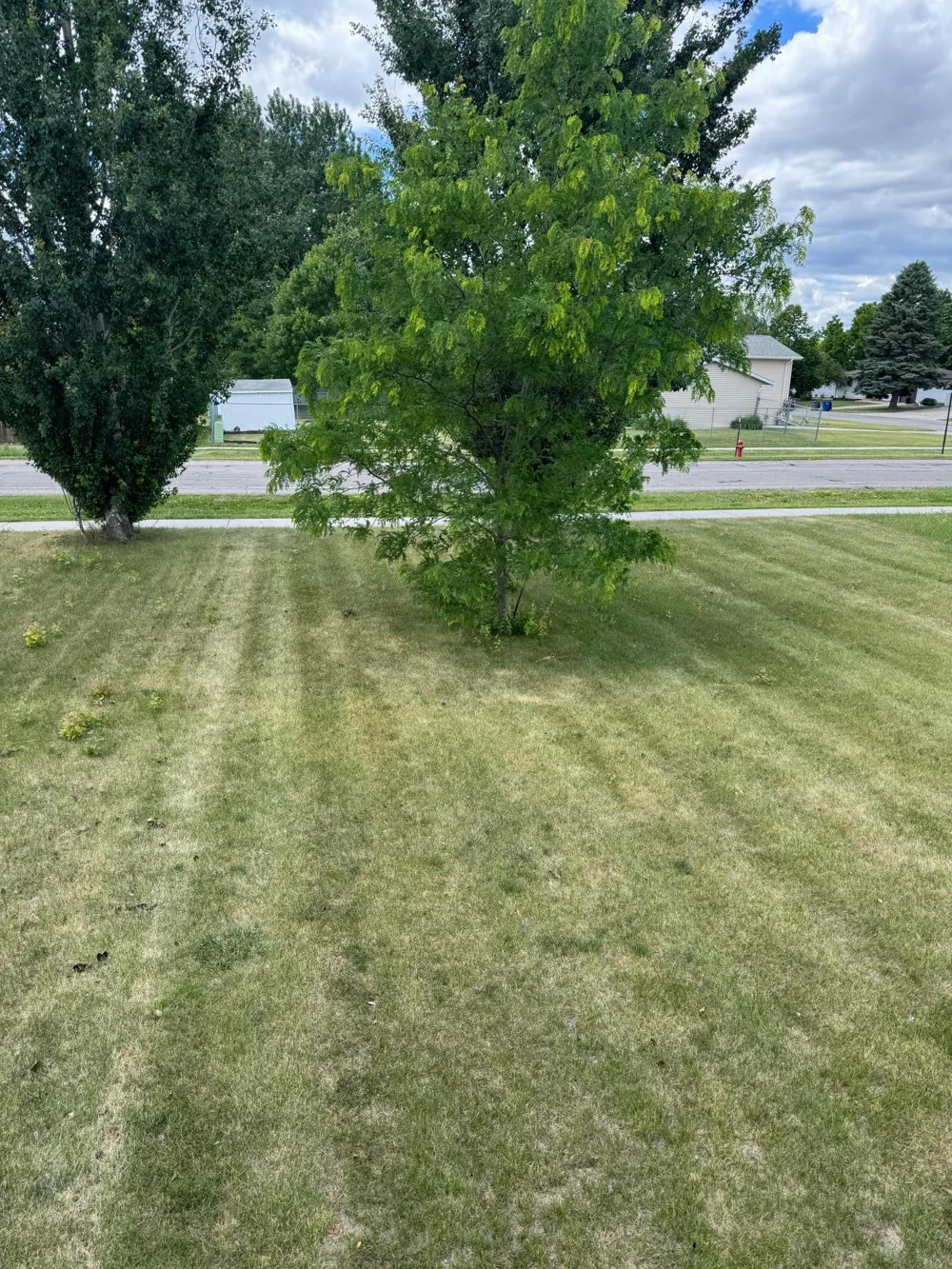 3539 15th Street S Moorhead, MN 56560