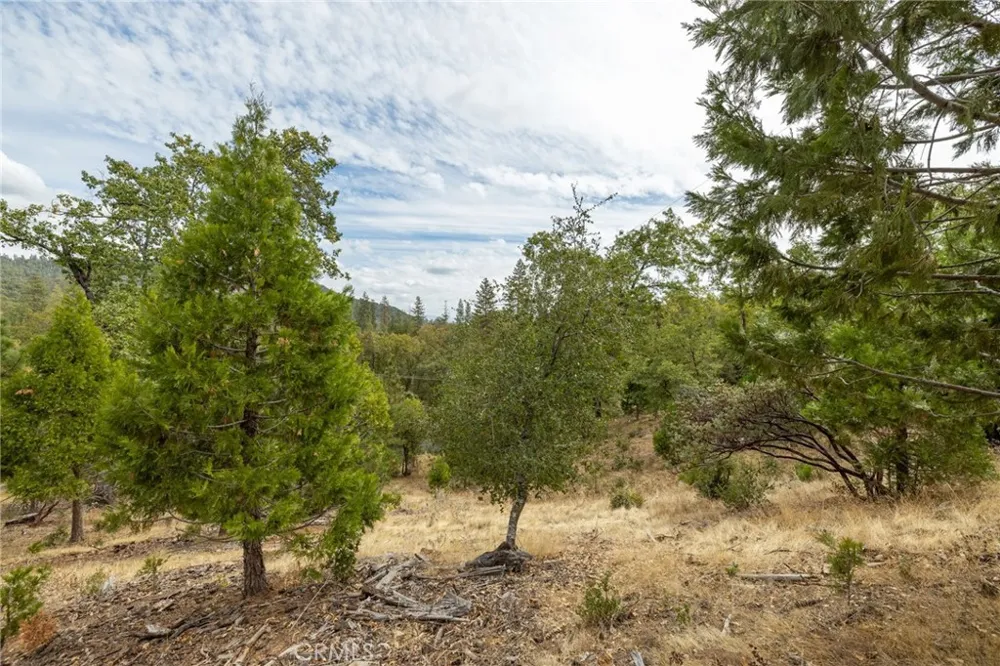 26 Timberview Road North Fork, CA 93643