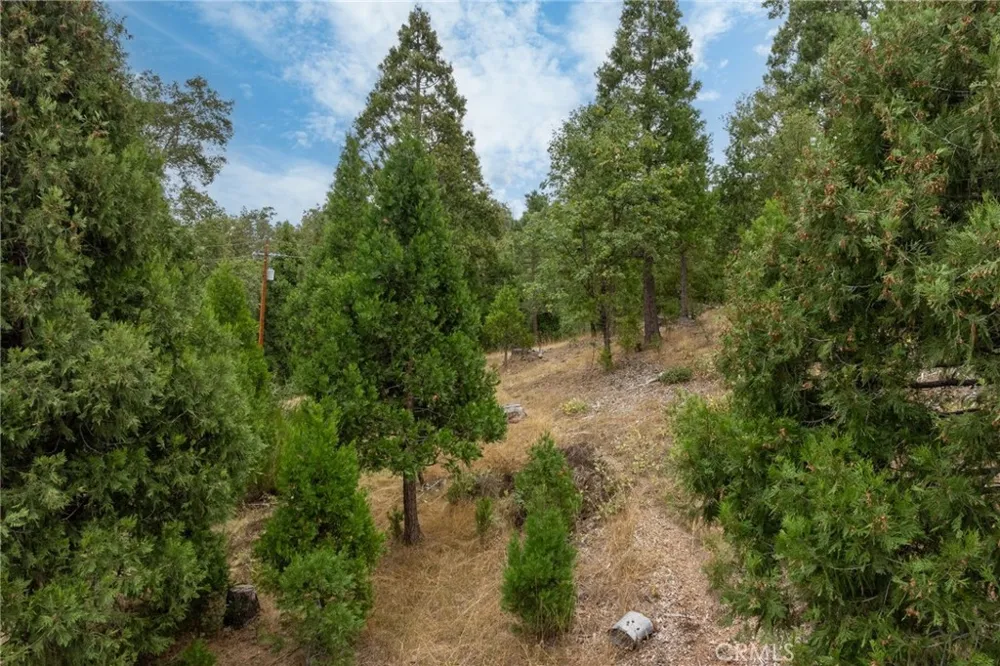 26 Timberview Road North Fork, CA 93643