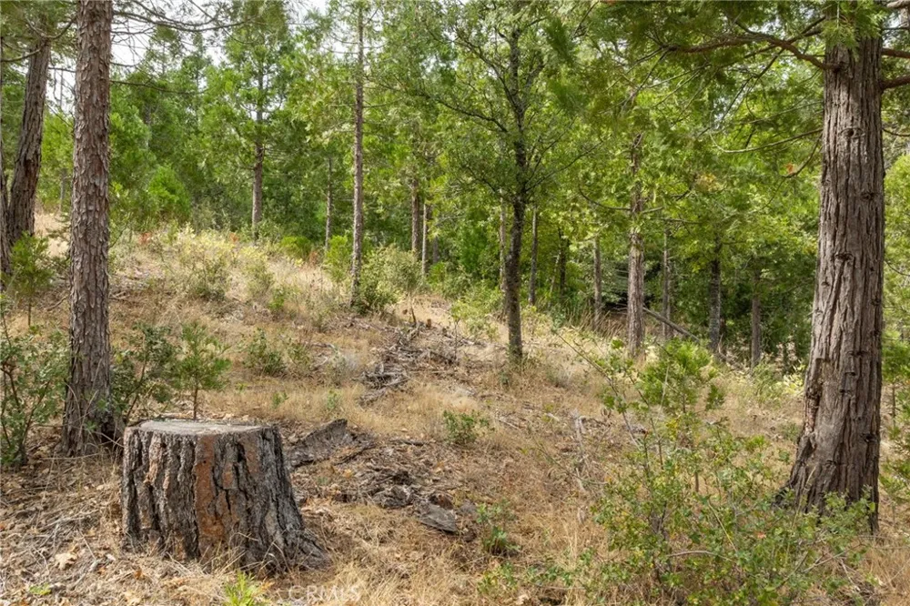 26 Timberview Road North Fork, CA 93643