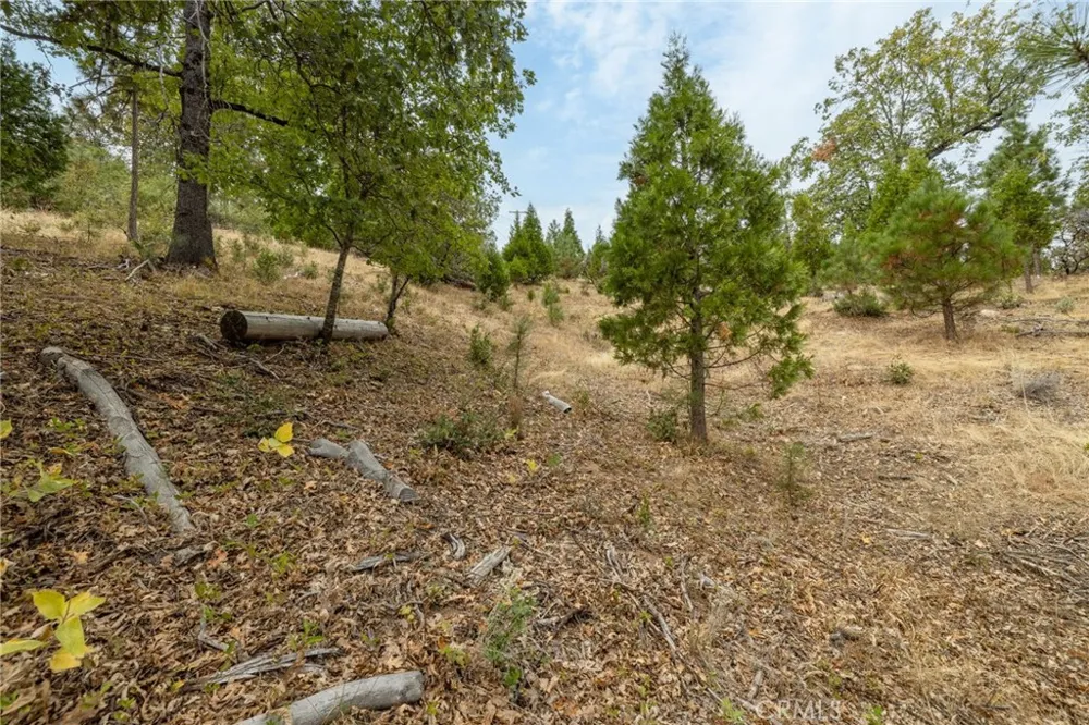 26 Timberview Road North Fork, CA 93643