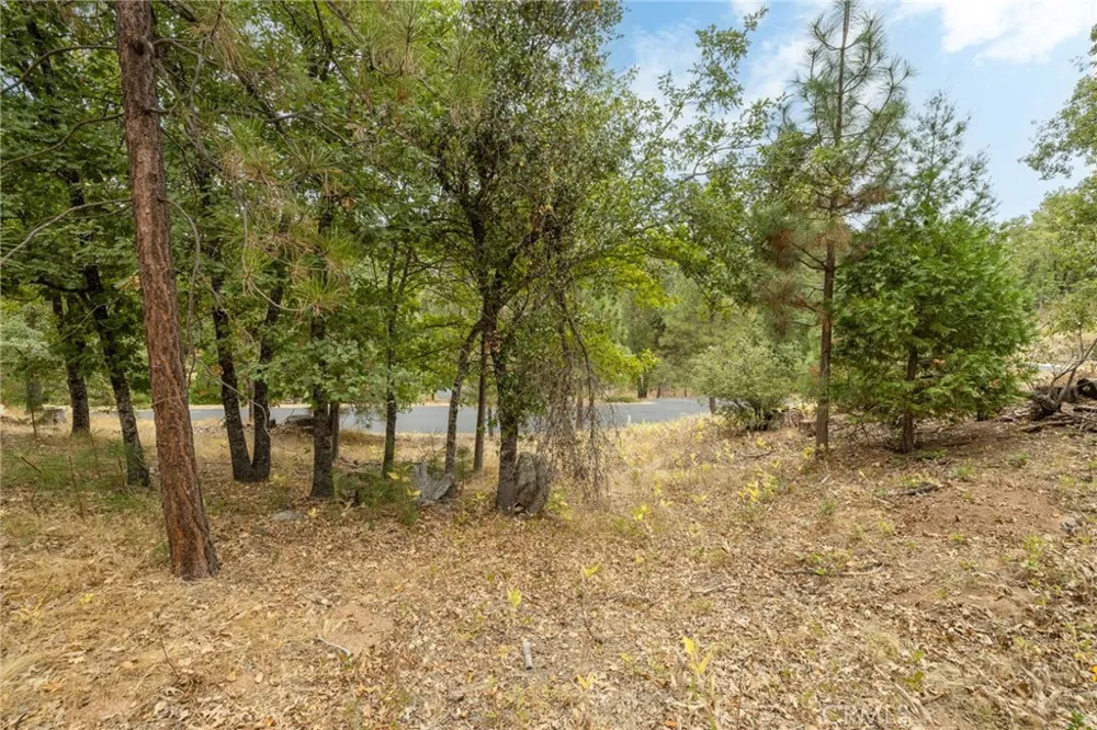 26 Timberview Road North Fork, CA 93643