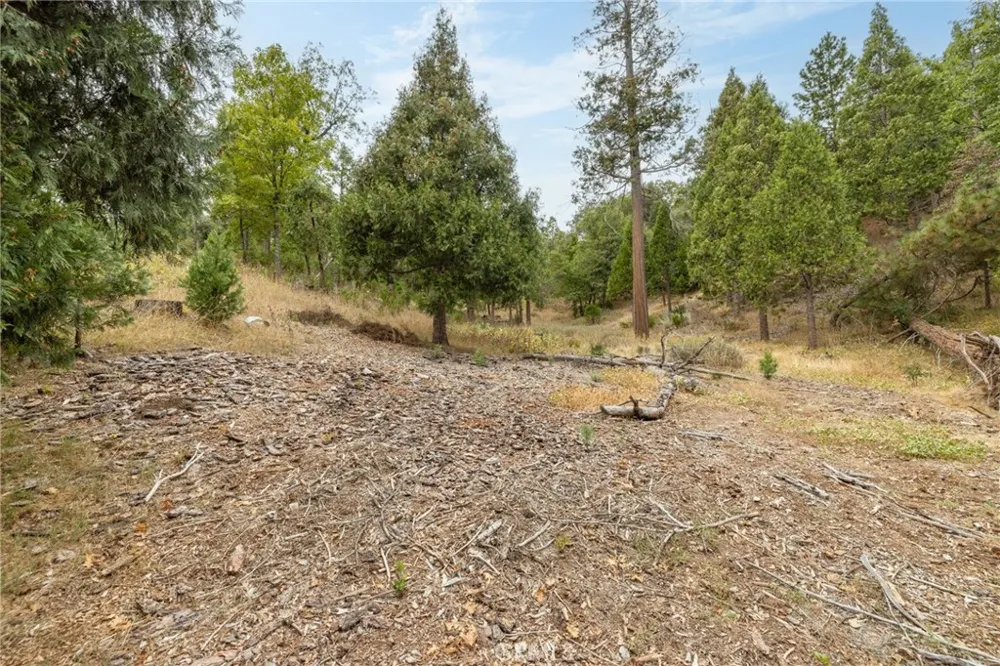 26 Timberview Road North Fork, CA 93643