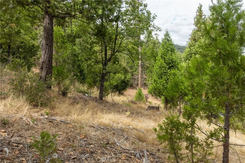 26 Timberview Road North Fork, CA 93643