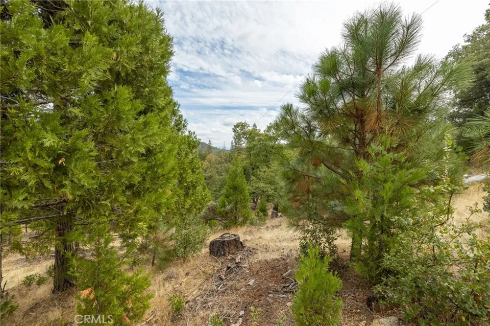 26 Timberview Road North Fork, CA 93643