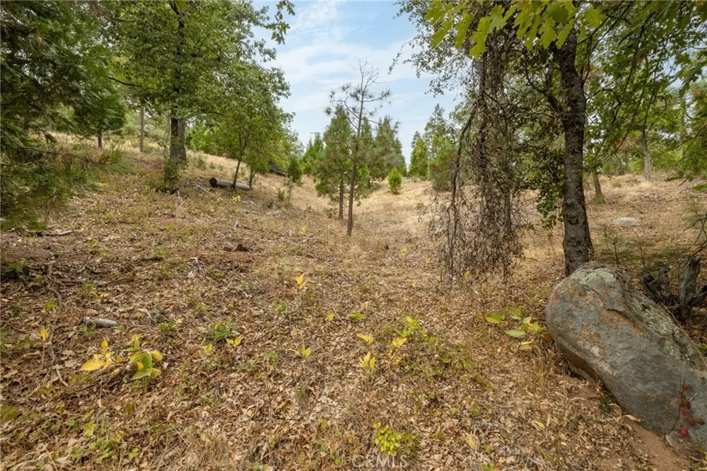 26 Timberview Road North Fork, CA 93643