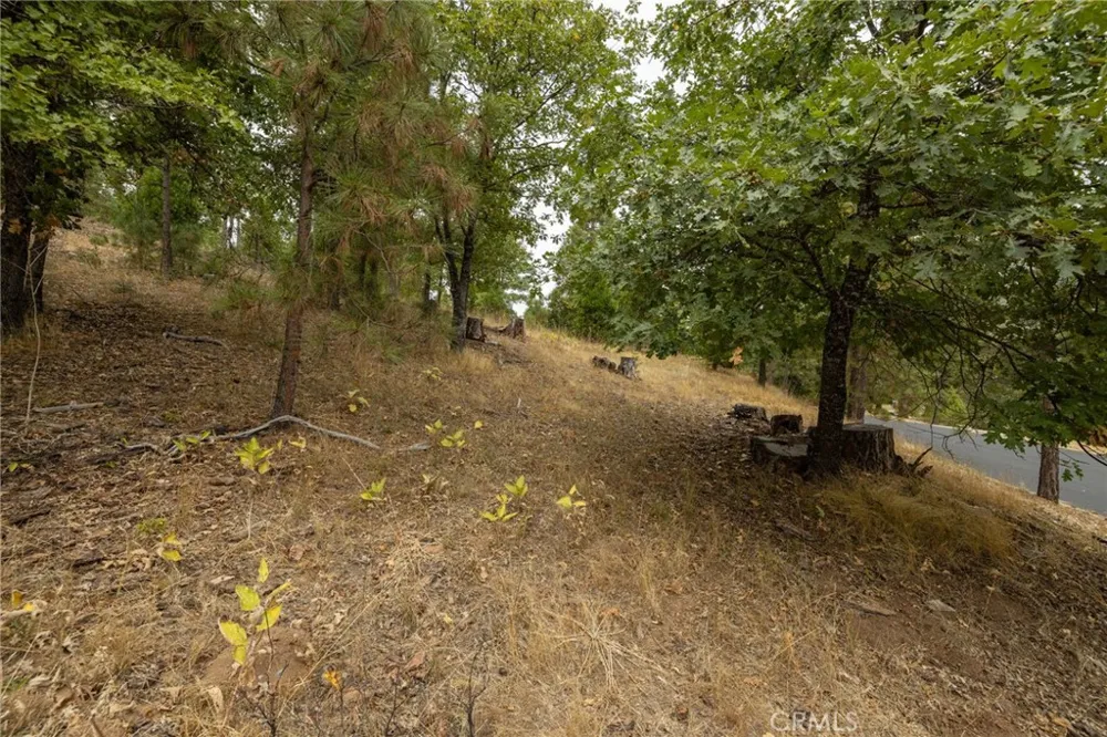 26 Timberview Road North Fork, CA 93643