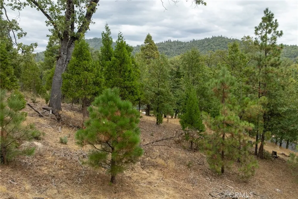 26 Timberview Road North Fork, CA 93643