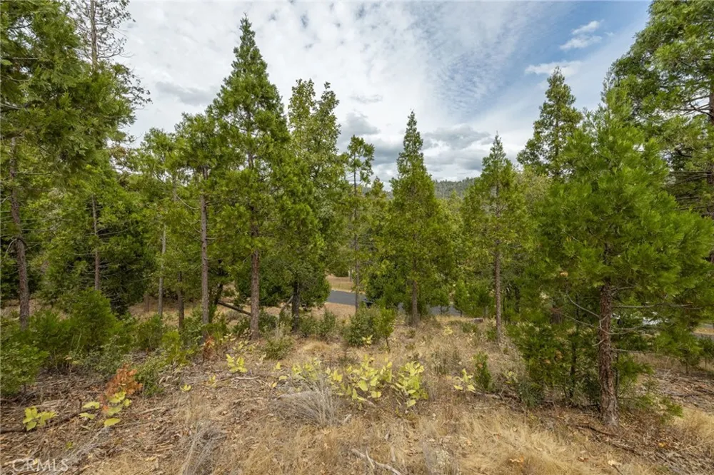 26 Timberview Road North Fork, CA 93643