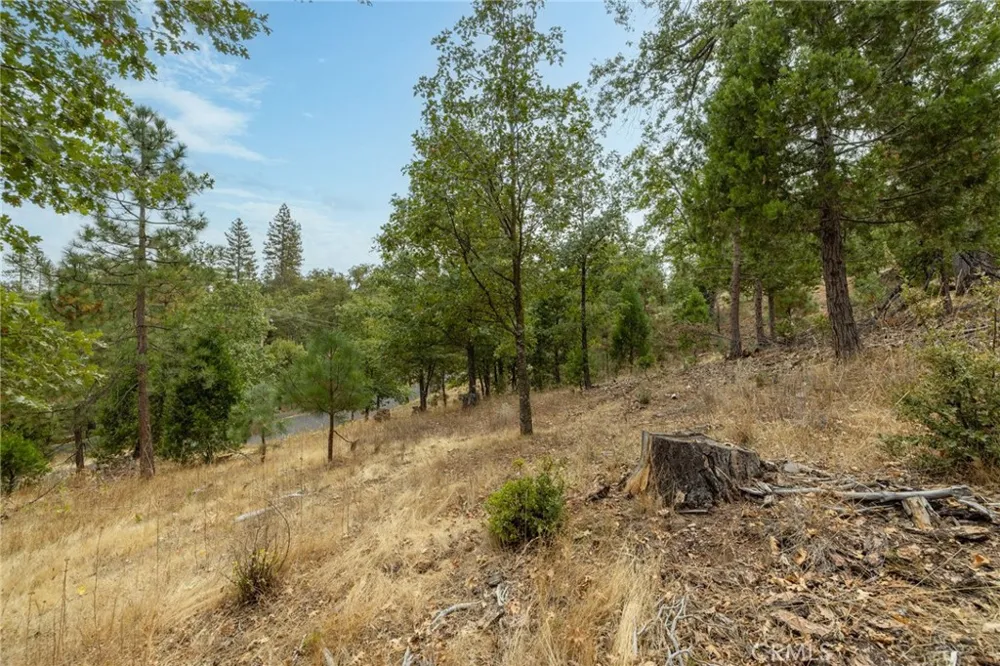 26 Timberview Road North Fork, CA 93643