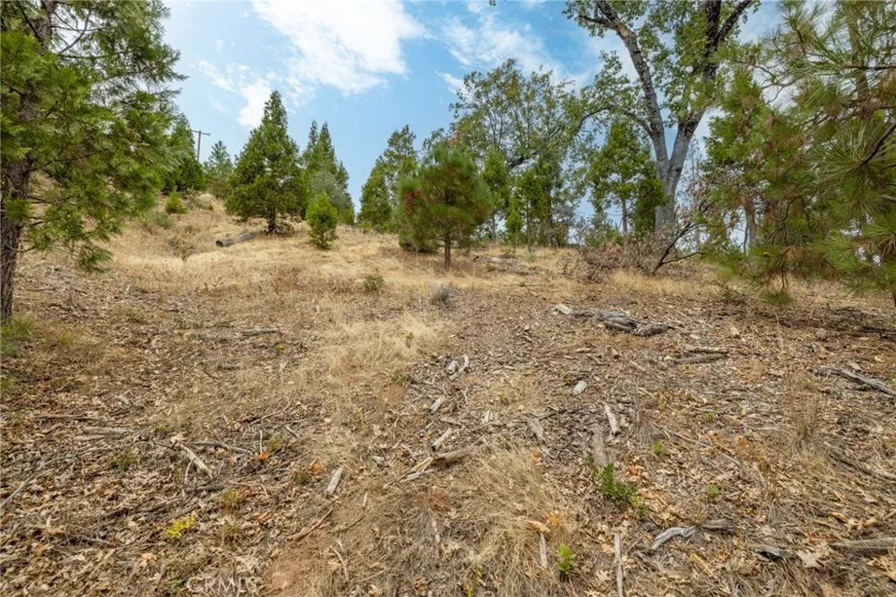 26 Timberview Road North Fork, CA 93643