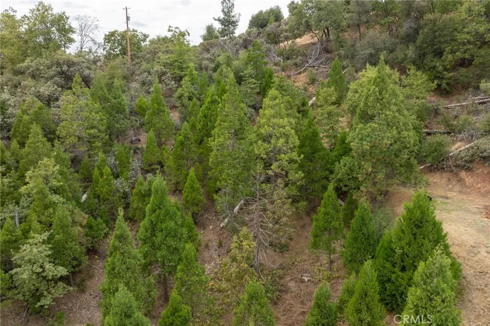 26 Timberview Road North Fork, CA 93643