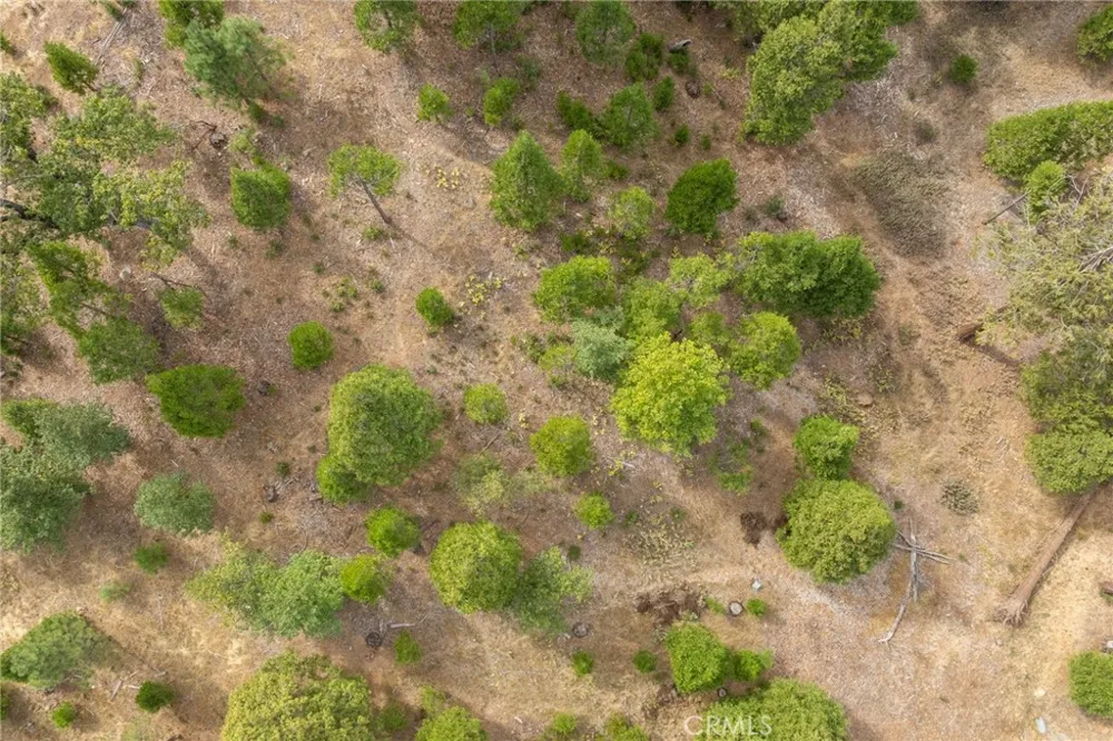 26 Timberview Road North Fork, CA 93643
