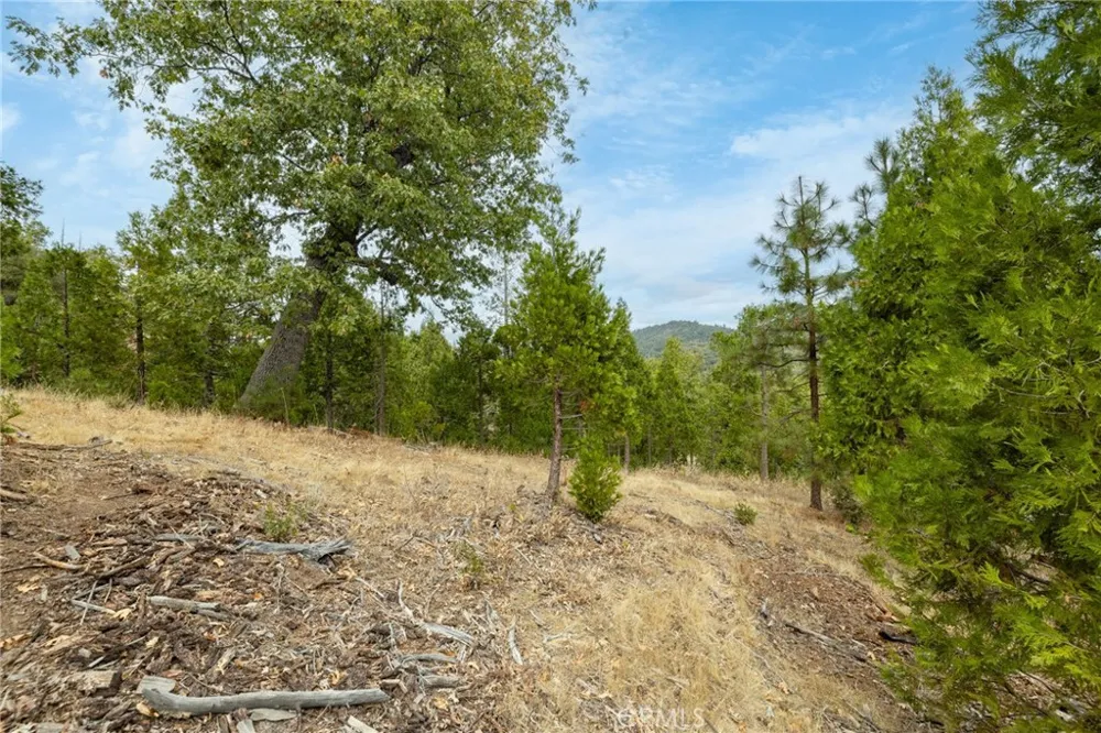 26 Timberview Road North Fork, CA 93643