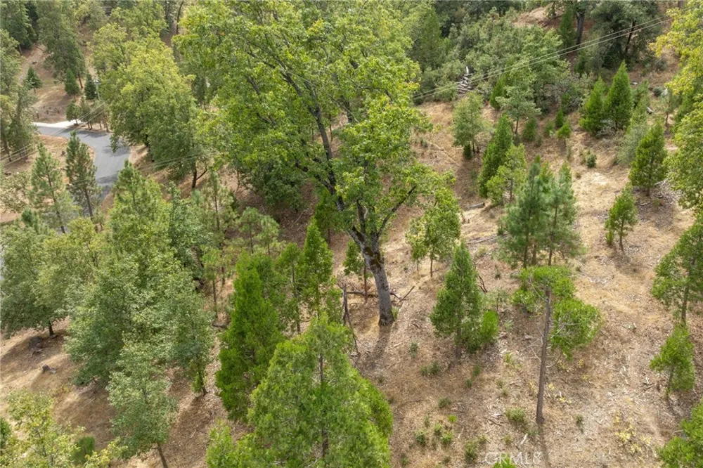 26 Timberview Road North Fork, CA 93643