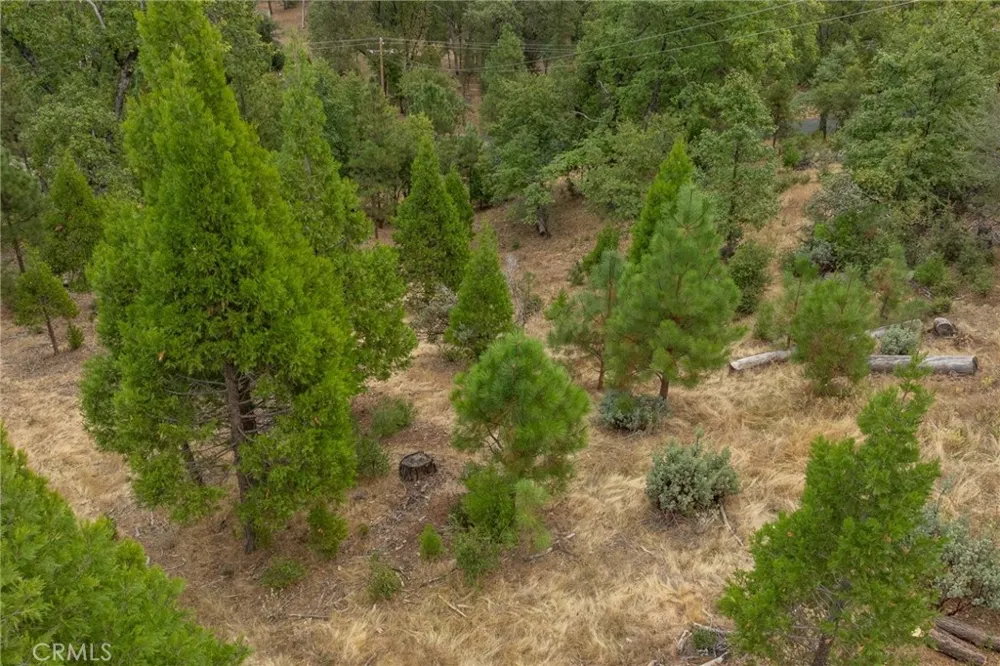26 Timberview Road North Fork, CA 93643