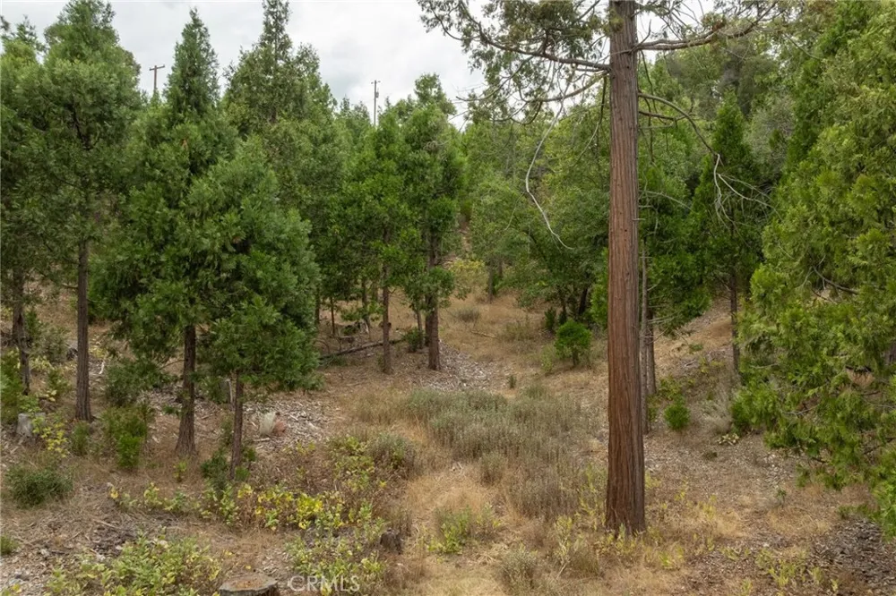 26 Timberview Road North Fork, CA 93643