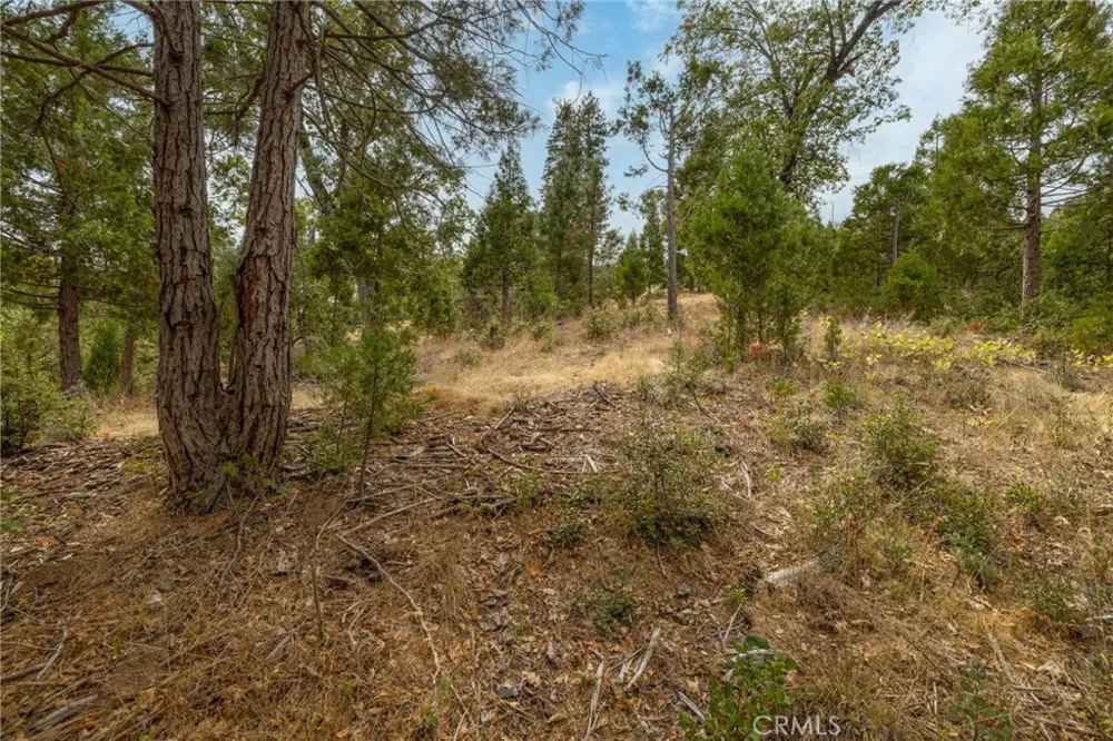 26 Timberview Road North Fork, CA 93643