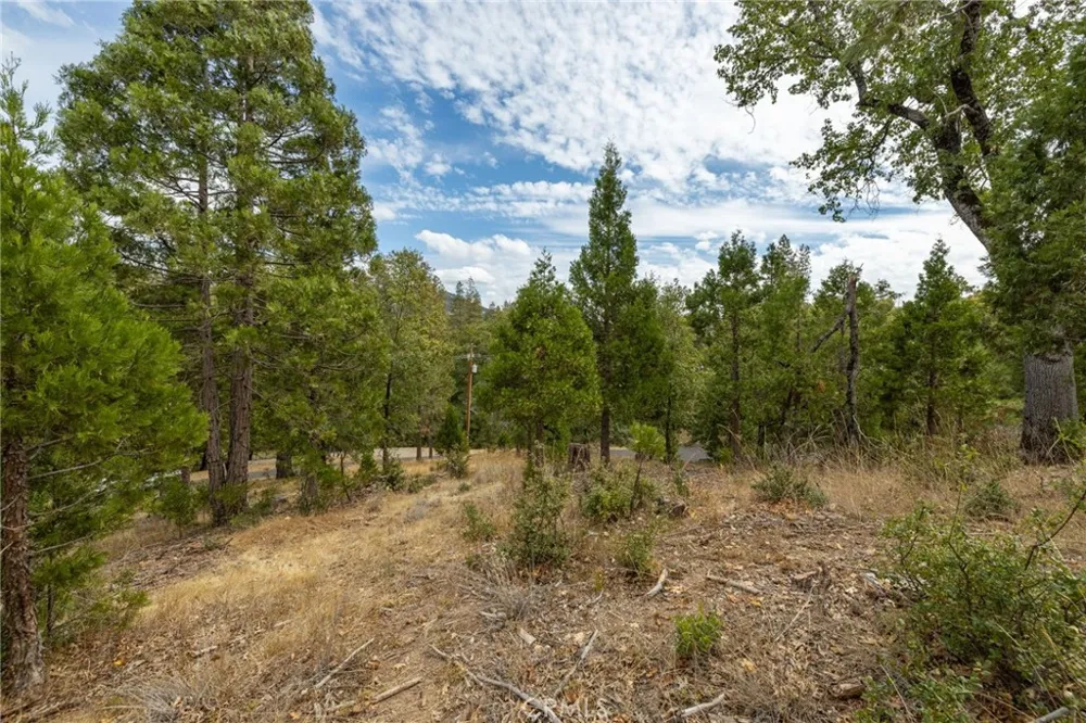 26 Timberview Road North Fork, CA 93643