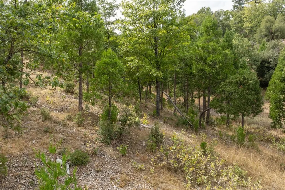 26 Timberview Road North Fork, CA 93643