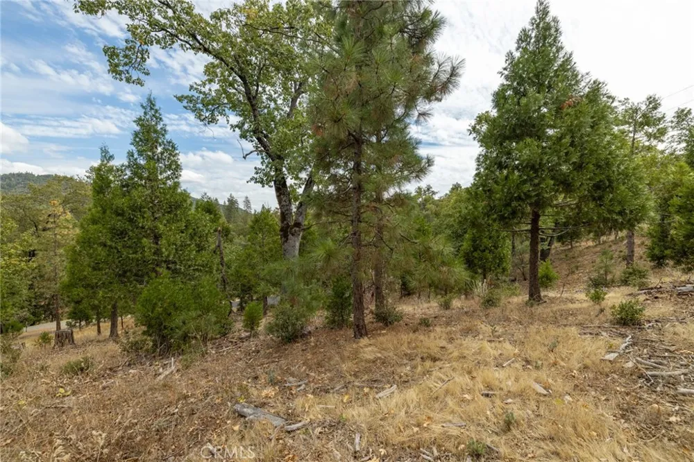 26 Timberview Road North Fork, CA 93643