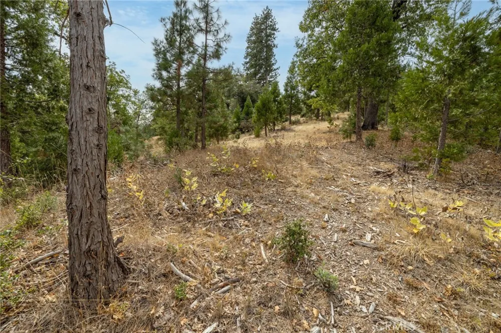 26 Timberview Road North Fork, CA 93643