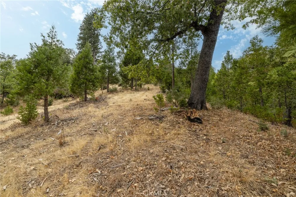 26 Timberview Road North Fork, CA 93643