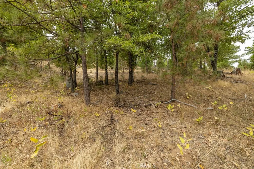 26 Timberview Road North Fork, CA 93643