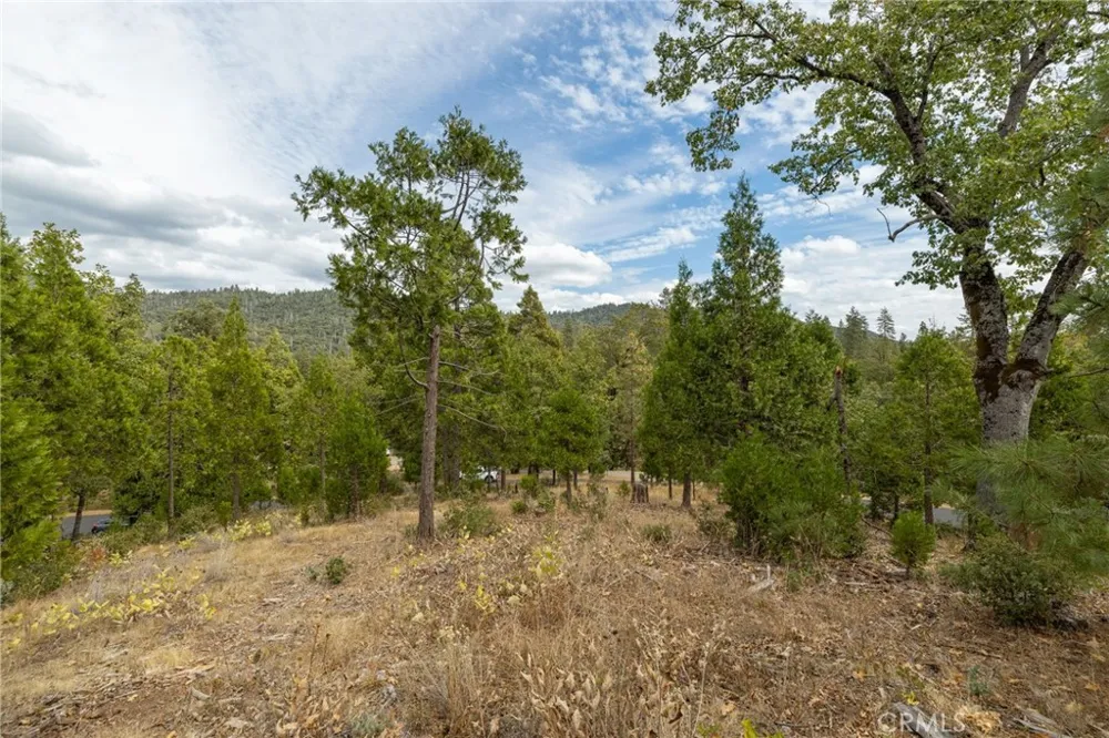 26 Timberview Road North Fork, CA 93643