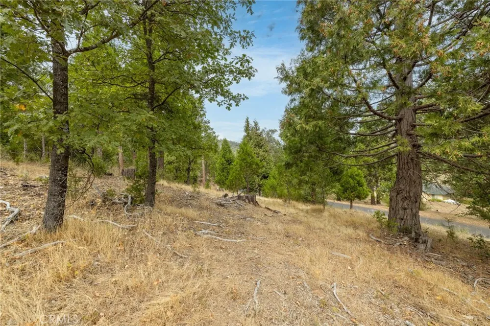26 Timberview Road North Fork, CA 93643
